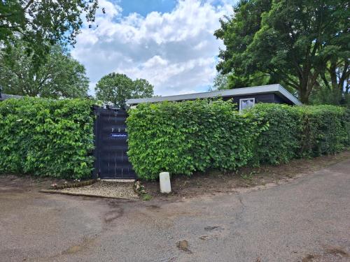 a fence with a black door next to a hedge at Heimathafen in Lathum