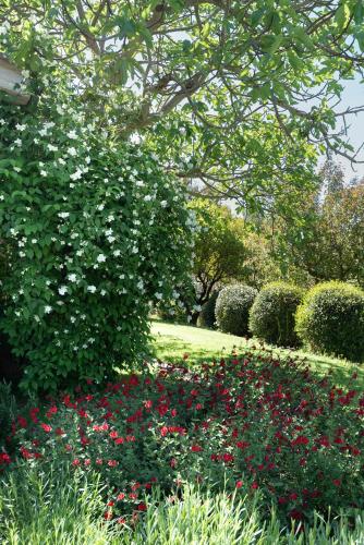 a garden with a bunch of flowers and bushes at La Vittoria 10 – La Soglia della Val d’Orcia in Chianciano Terme