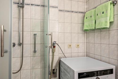 a bathroom with a shower and a washing machine at Meienreis in Breisach am Rhein