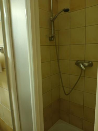 łazienka z prysznicem z głowicą prysznicową w obiekcie VIOLA Wellness Apartman w Zalakaros