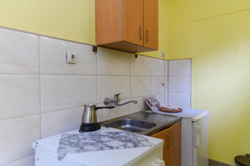 Kuchyň nebo kuchyňský kout v ubytování Vila Misljenovic, u centru Sokobanje, na pesackoj zoni