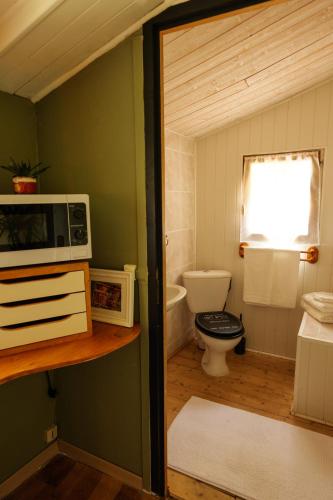 La salle de bains est pourvue de toilettes et d'un four micro-ondes. dans l'établissement Chez Babeth, à Villeneuve-lès-Avignon