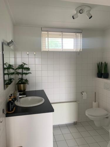 a bathroom with a sink and a toilet at B&B slapen in de veenhoop in De Veenhoop