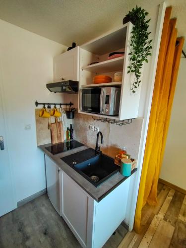 une petite cuisine avec un évier et un micro-ondes dans l'établissement Le fringant, à Avignon