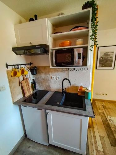 une petite cuisine avec un évier et un micro-ondes dans l'établissement Le fringant, à Avignon