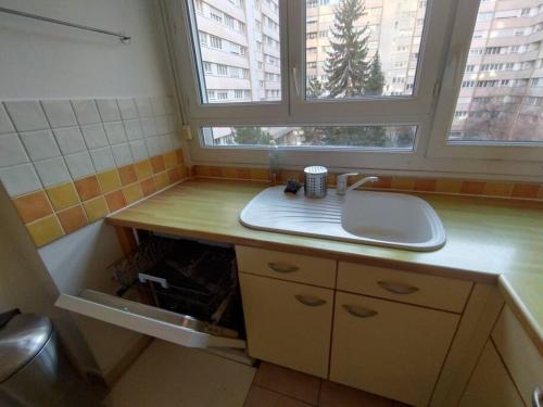 une salle de bain avec un lavabo et deux fenêtres dans l'établissement 5 mn, 450m walk Metro La Defense, 3 bedrooms, Parking, à Puteaux