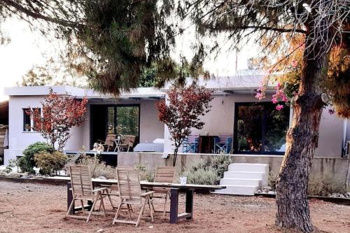 Coralia's beachfront sea view studio