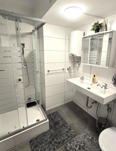 a bathroom with a sink and a shower at City View in Offenbach