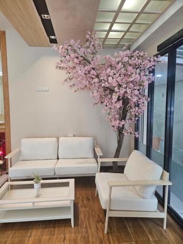 a living room with two white couches and a tree at Shi-ro-i Poshtel in Hat Yai