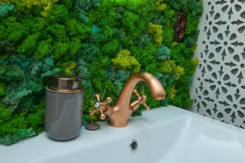a sink with a faucet in front of a green wall at Conacul Fruntea cu ceru in Iloviţa