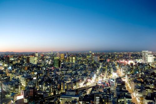 東京的住宿－Mandarin Oriental, Tokyo，夜晚城市的空中景观
