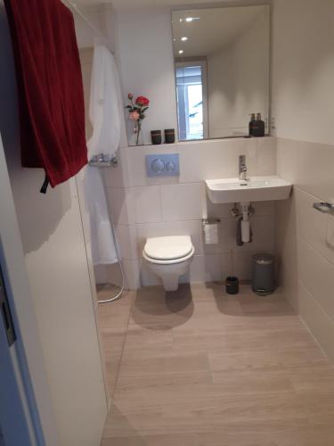 a small bathroom with a toilet and a sink at Studio "Chüngelhoschet" in Näfels