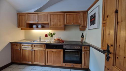 Una cocina o cocineta en Scheibbsbachhof