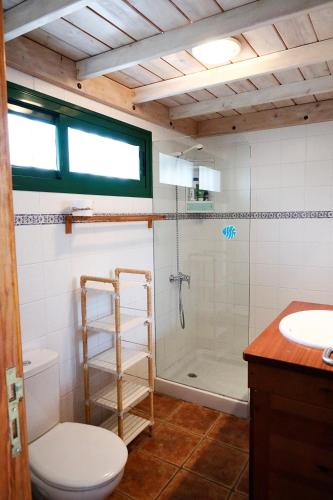 a bathroom with a shower and a toilet and a sink at Mi Pescaito in Yaiza