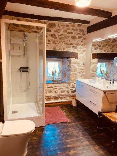 une salle de bain avec une douche, des toilettes et un lavabo dans l'établissement Au Charme d Antan Thalamy, à Thalamy