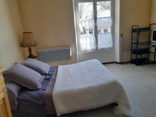 une chambre avec un lit et une fenêtre dans l'établissement appartement du pont de la seine, à Troyes