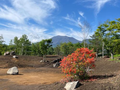 a red bush with a mountain in the background at Kita Karuizawa Morino Takibi Pool Villa with Sauna in Tsumagoi