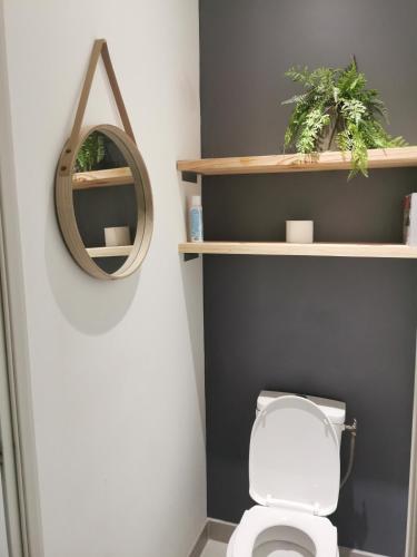 une salle de bain avec des toilettes blanches et un miroir dans l'établissement Les Rosiers, à Lapalud