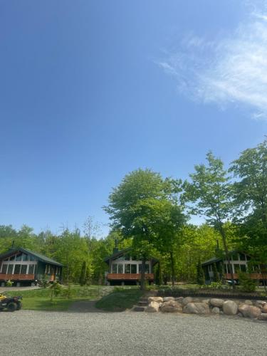 un groupe de cottages avec des arbres en arrière-plan dans l'établissement Chill Village, à Biei