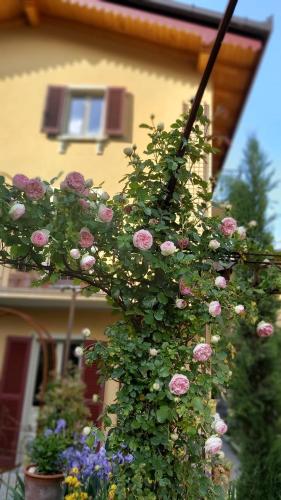 Gallery image of Villa Costanza Appartamento con giardino in Magreglio