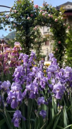 Gallery image of Villa Costanza Appartamento con giardino in Magreglio