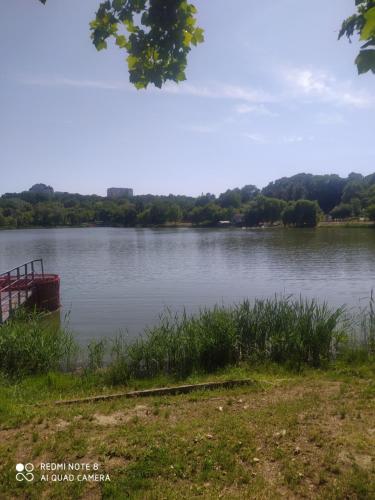 a view of a lake with a boat in the water at Квартира на Ботанике in Chişinău