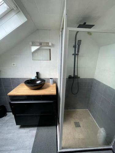 une salle de bain avec un lavabo et une douche dans l'établissement Sweet Harmony - Appart spacieux, à Aulnay-sous-Bois