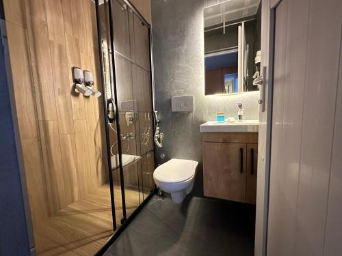 a bathroom with a toilet and a shower and a sink at Inceli Hotel in Uzungöl