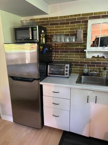 La cuisine est équipée d'un réfrigérateur en acier inoxydable et d'un four micro-ondes. dans l'établissement Nature Retreat in the city, à Ottawa