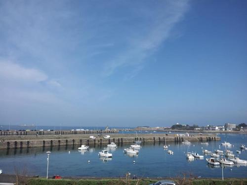 a group of boats are docked in a harbor at La Maison du Port, vue mer, jardin et parking in Roscoff
