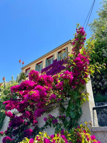 Jardin avec Jacuzzi, vue mer et montagne, clim & parking