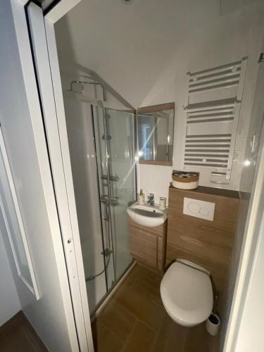 une salle de bain avec toilettes, lavabo et douche dans l'établissement Eiffel tour Cosy Bali, à Paris