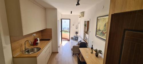 Cuina o zona de cuina de Orlic Apartman