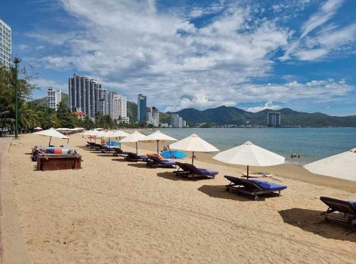 Naturlandskabet i nærheden af lejligheden