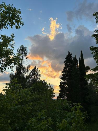 Φυσικό τοπίο κοντά σε αυτό το καταφύγιο
