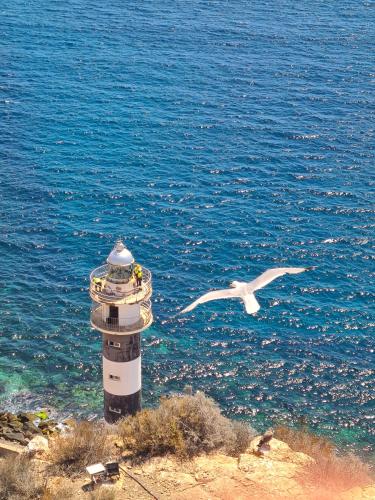 a bird flying next to a lighthouse next to the ocean at Maxcaly Playa in Águilas