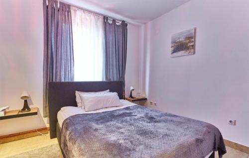 a bedroom with a large bed with a window at Beautiful Home In Budrovac With Wi-Fi in Budrovac