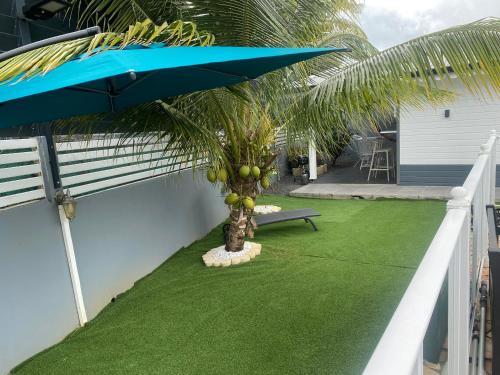 a palm tree and a blue umbrella on a patio at Gîte prestige-Colin in Petit-Bourg