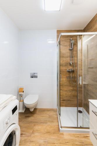 奧斯威辛的住宿－Apartment Quiet Street 11/5E，带淋浴、卫生间和盥洗盆的浴室