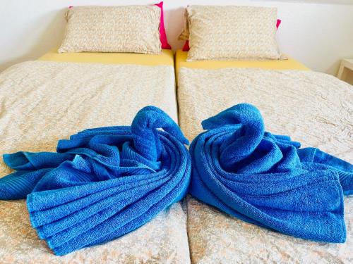 a pair of beds with blue blankets on them at Tarida`Guesthouse in Braunschweig