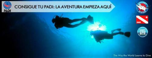 a poster of a person swimming in the water at Cruz del Sur in Pucusana