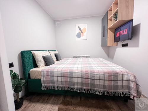 キシナウにあるRentHouse Apartments Sleep&Go #1のベッドルーム(緑色のベッド1台、テレビ付)