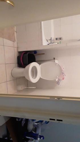 une salle de bain avec toilettes et lavabo dans l'établissement Appartement cosy, à Marseille