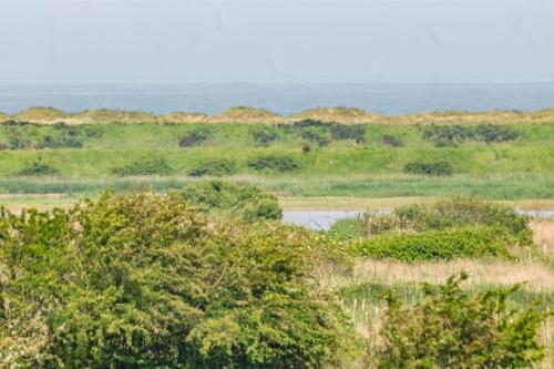 a body of water in a field with trees at Kingfishers Cove in Titchwell
