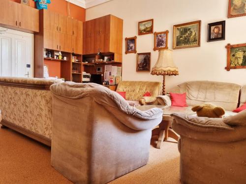 Sala de estar con 2 sofás y mesa en Transylvania Hostel, en Cluj-Napoca