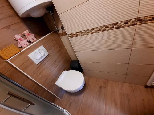 Un baño de Apartma Rožle
