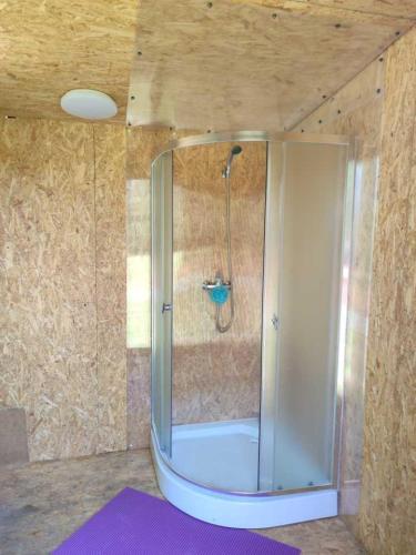 a shower in a bathroom with a purple rug at Pie Ventas in Ventspils
