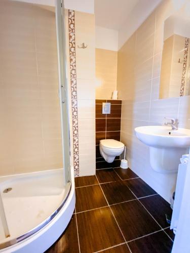 a bathroom with a toilet and a sink at Noclegi Przycup w Dolinie in Janowice Wielkie