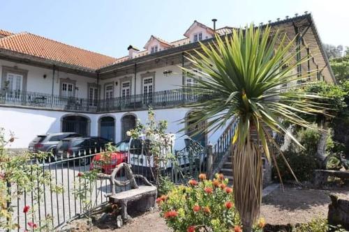 a house with a palm tree in a garden at Resort Quinta do Sameiro in Vieira do Minho
