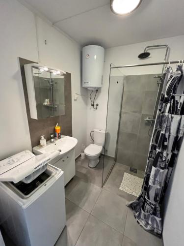 uma casa de banho com um WC, um lavatório e um chuveiro em Myklebostad em Steigen
